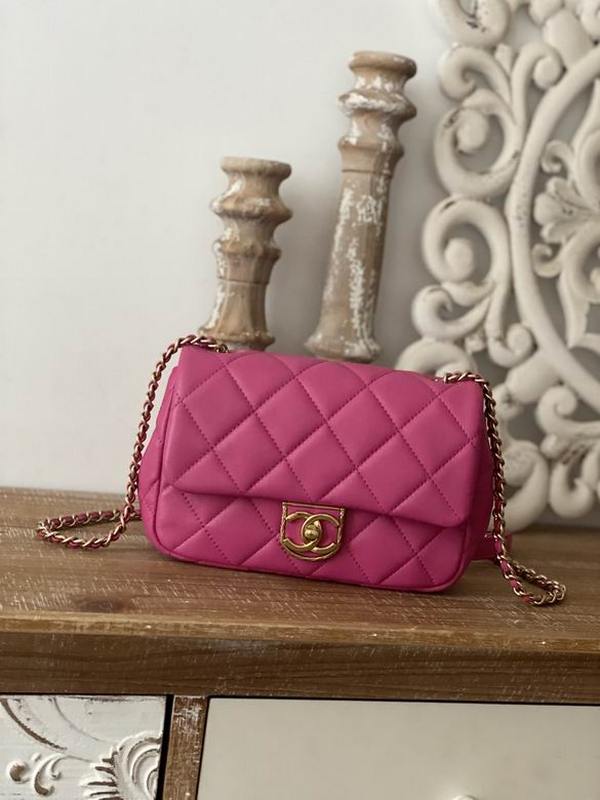 Chanel Handbags 195